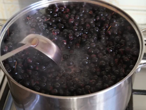 Homemade Chokecherry (Aronia) Syrup making - step 3