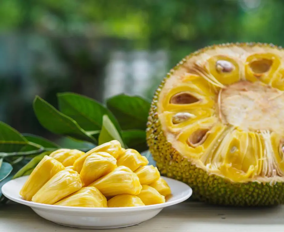 Jackfruit