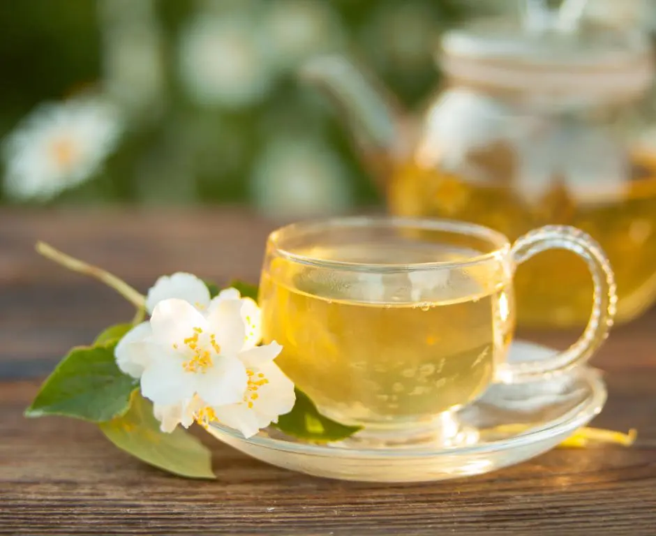 Jasmine Tea Recipe